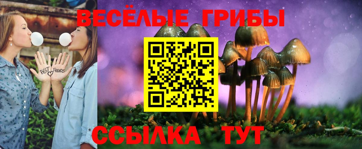 Галлюциногенные грибы прущие грибы  Вход с VPN  что такое   Крымск 