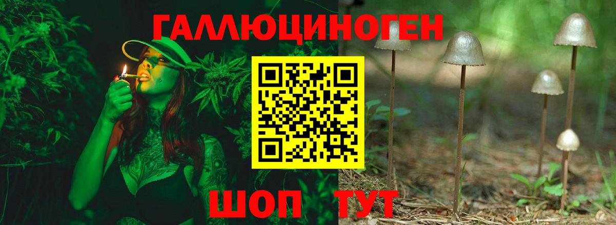 Псилоцибиновые грибы мицелий Крымск